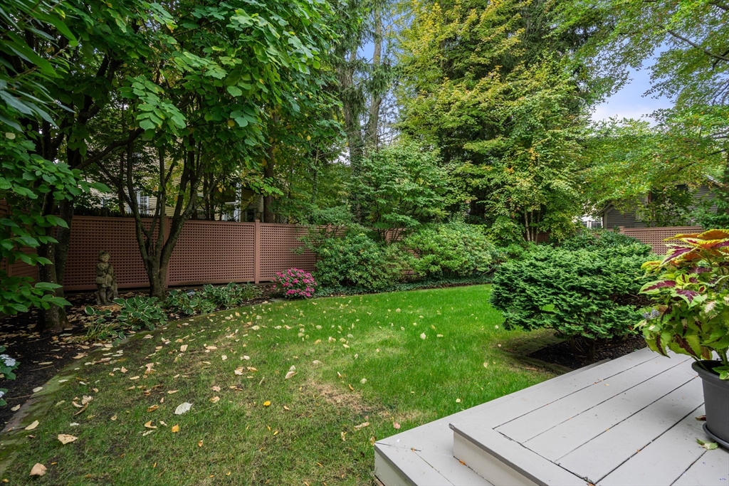 26 Healey Street Cambridge, MA 02138 - Photo 22 of 24 a view of an outdoor space and yard