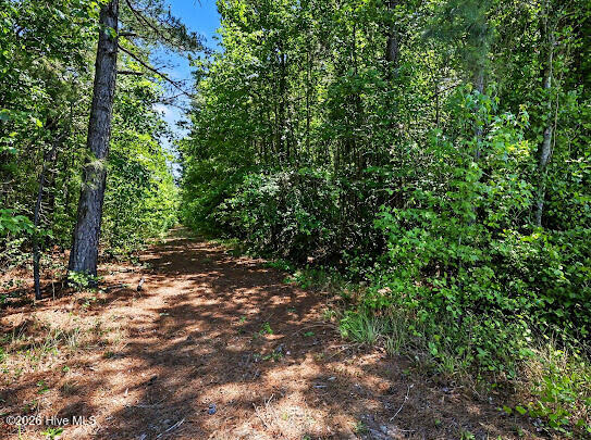 4.47-ac Purdy Matthews Road Wade, NC 28395 - Photo 25 of 25