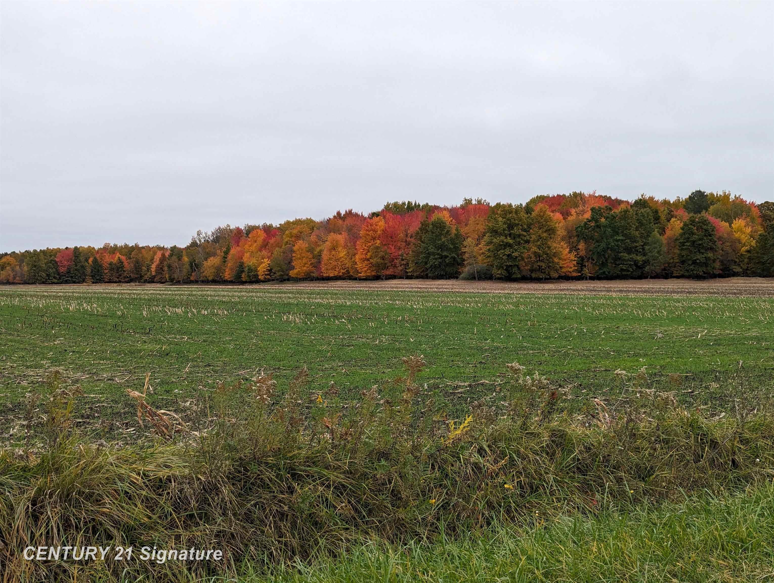 22335 Ederer Road Merrill, MI 48637 - Photo 76 of 78 Gallery Image 76