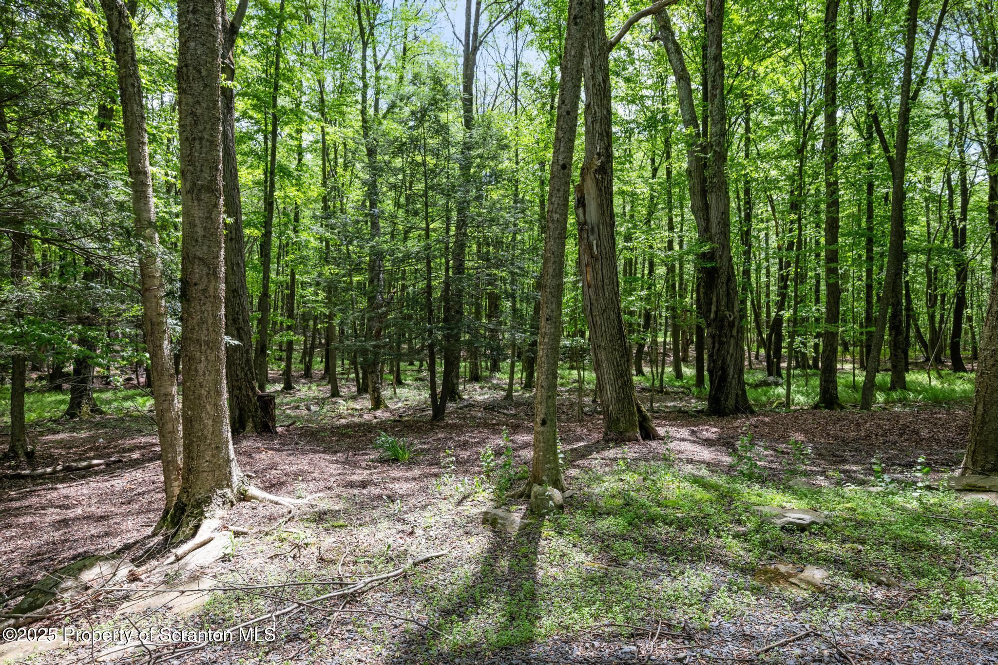 1010 Miller Road Lake Ariel, PA 18436 - Photo 69 of 70 DSC_7095