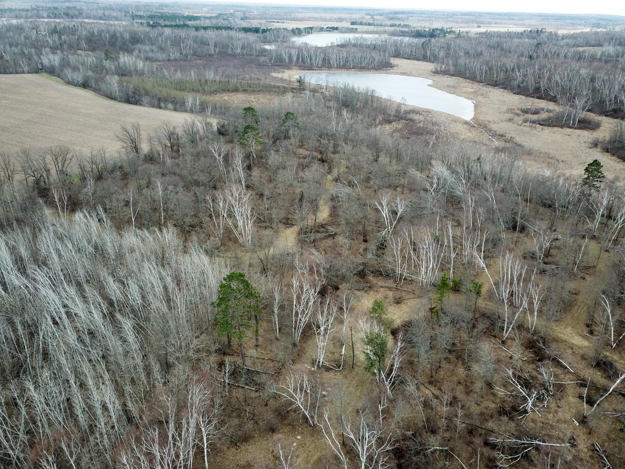 Tbd Boot Lake Road Southwest Bemidji, MN 56601 - Photo 11 of 43