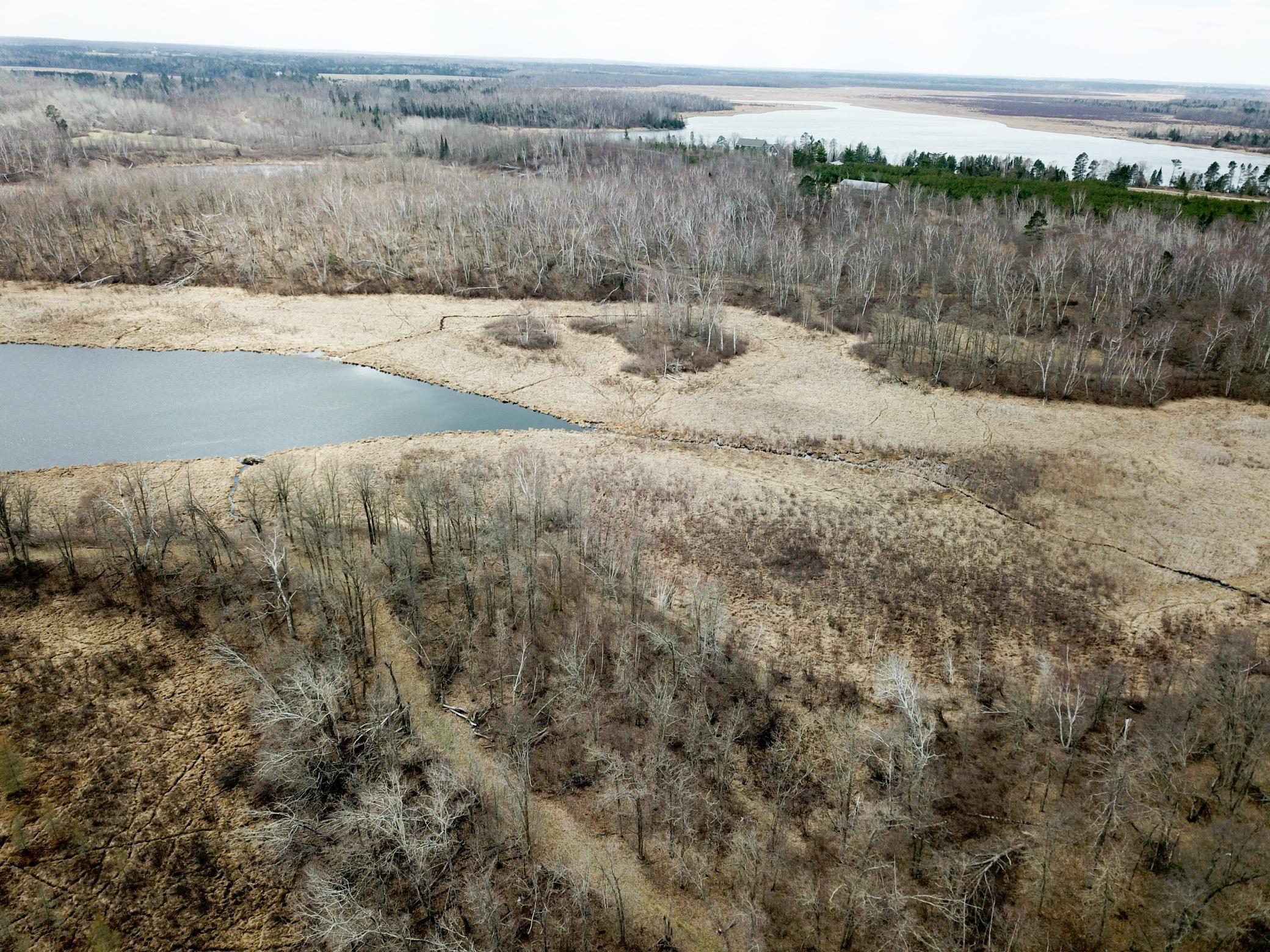 Tbd Boot Lake Road Southwest Bemidji, MN 56601 - Photo 12 of 43