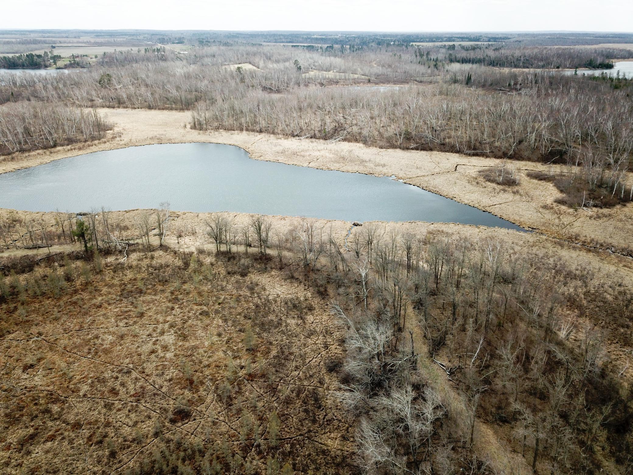 Tbd Boot Lake Road Southwest Bemidji, MN 56601 - Photo 13 of 43