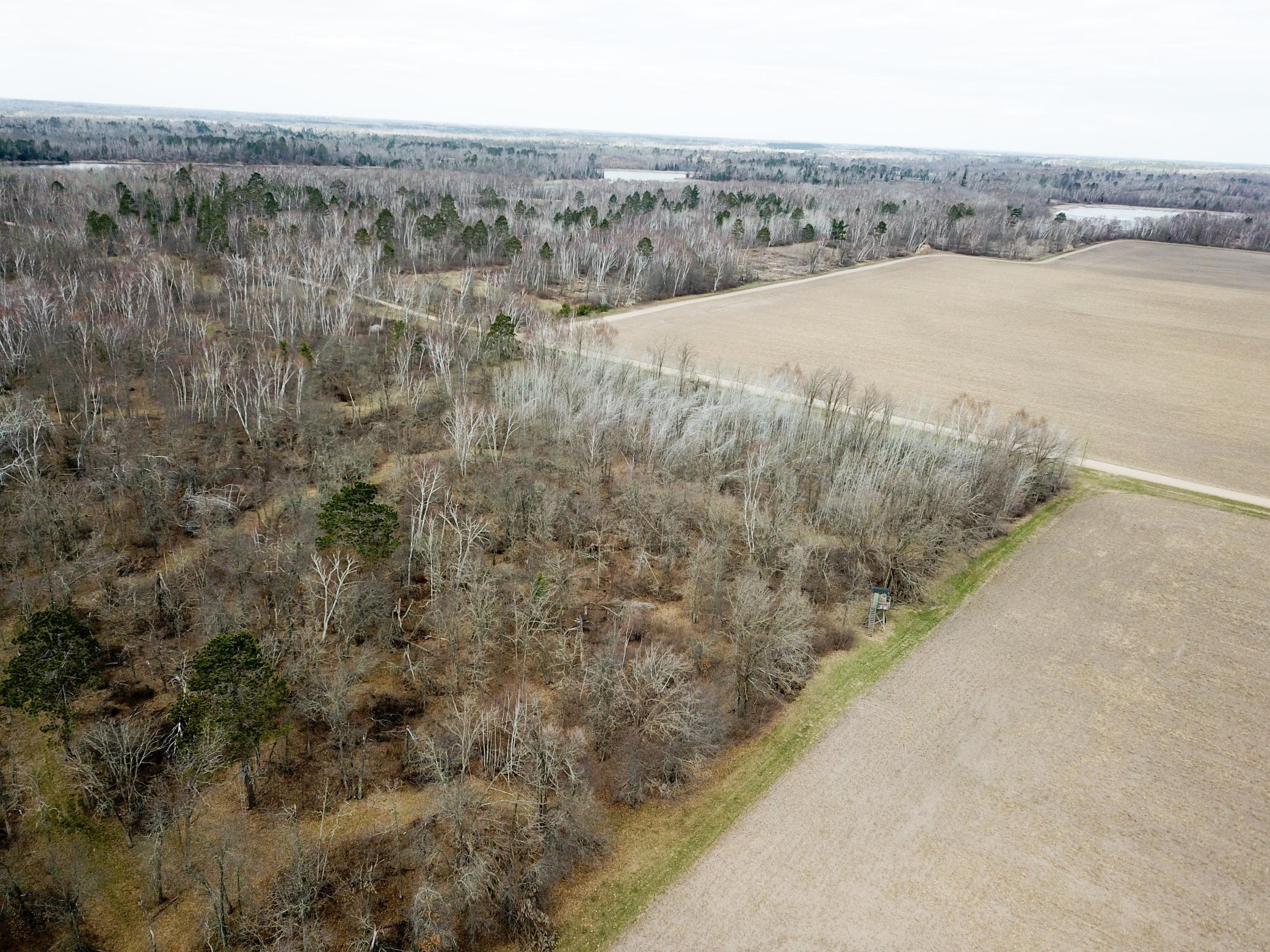 Tbd Boot Lake Road Southwest Bemidji, MN 56601 - Photo 14 of 43