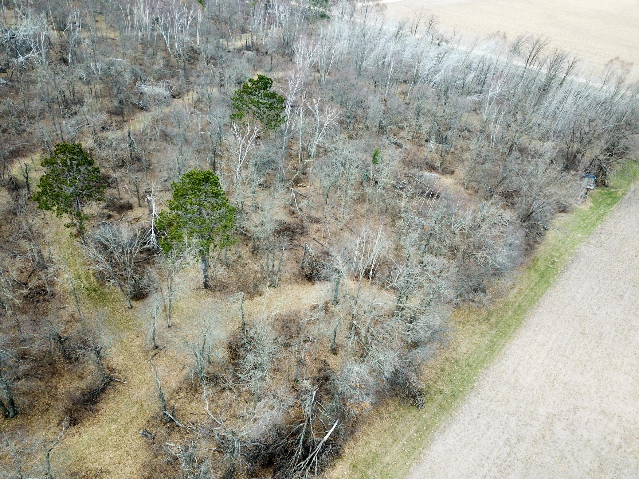 Tbd Boot Lake Road Southwest Bemidji, MN 56601 - Photo 19 of 43