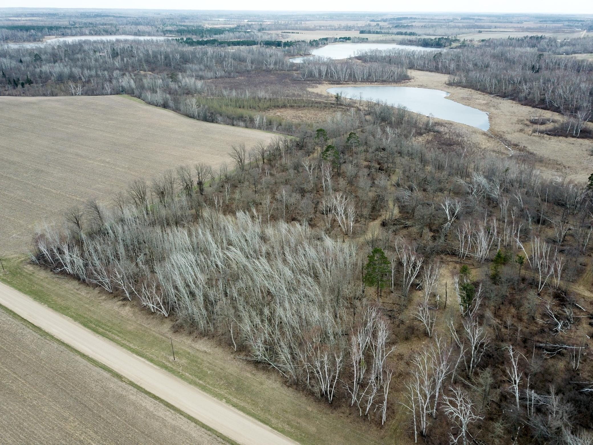 Tbd Boot Lake Road Southwest Bemidji, MN 56601 - Photo 2 of 43