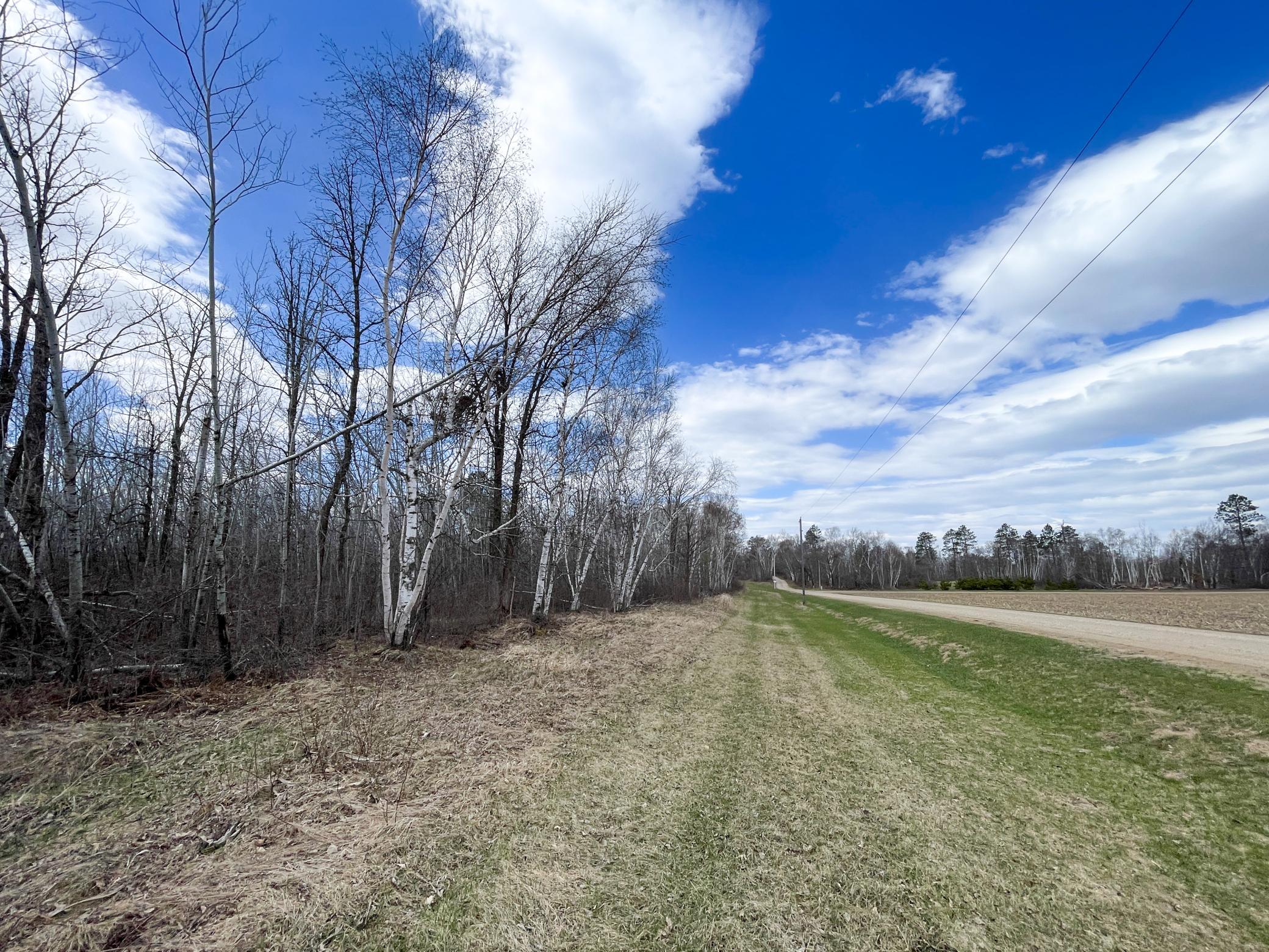 Tbd Boot Lake Road Southwest Bemidji, MN 56601 - Photo 21 of 43