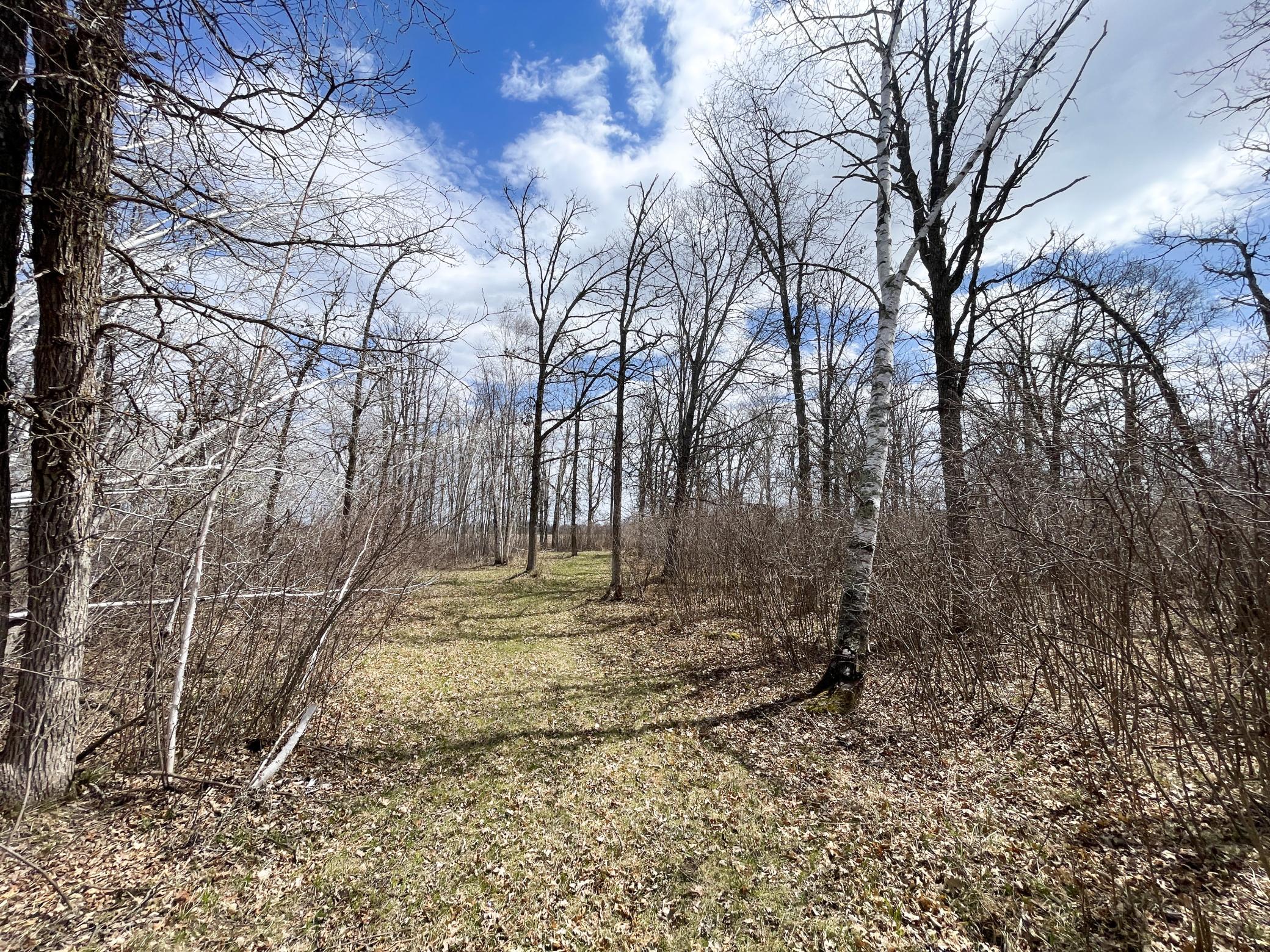 Tbd Boot Lake Road Southwest Bemidji, MN 56601 - Photo 24 of 43