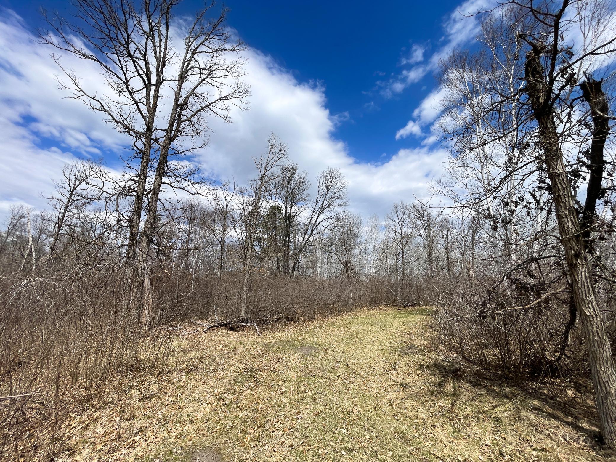 Tbd Boot Lake Road Southwest Bemidji, MN 56601 - Photo 25 of 43