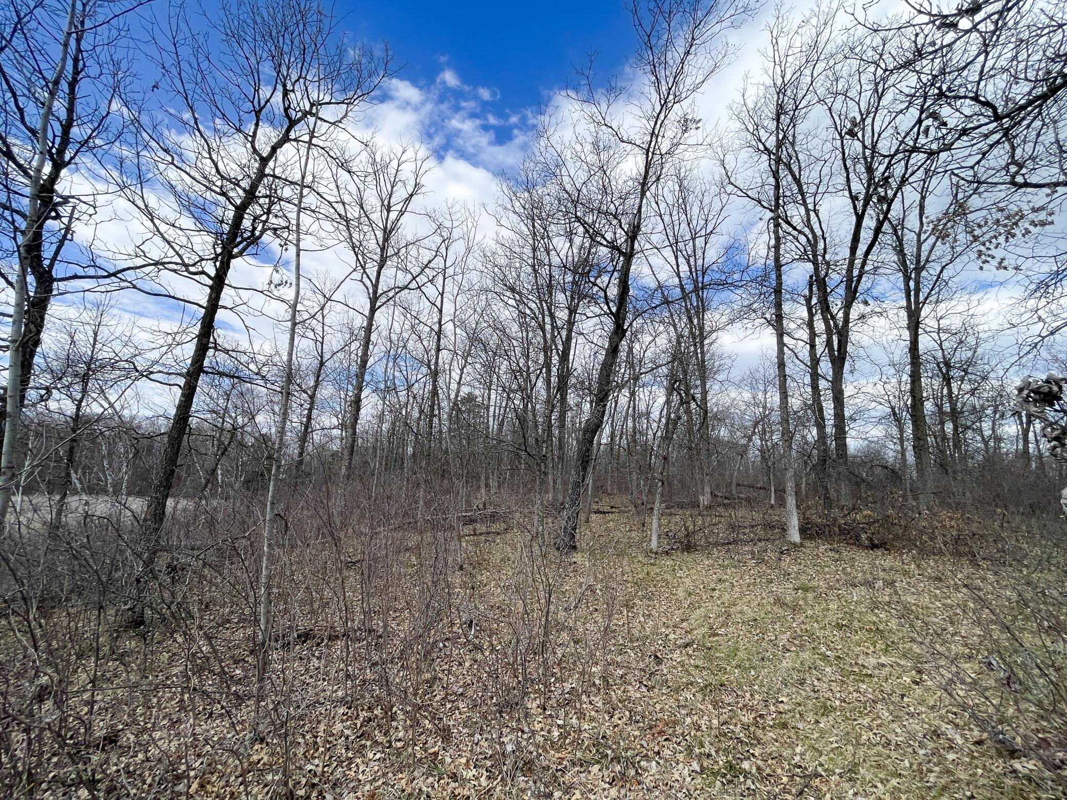 Tbd Boot Lake Road Southwest Bemidji, MN 56601 - Photo 26 of 43