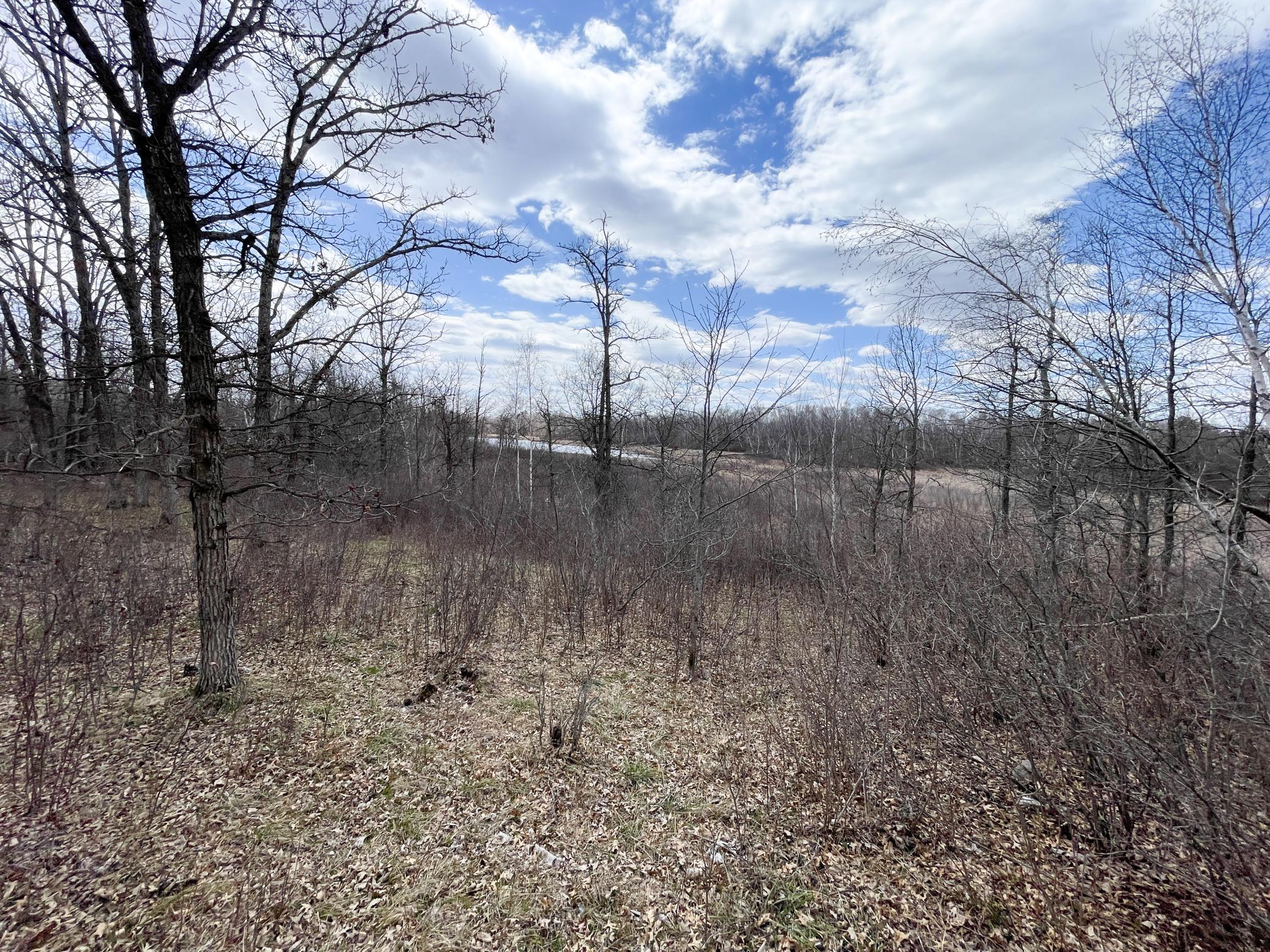 Tbd Boot Lake Road Southwest Bemidji, MN 56601 - Photo 27 of 43