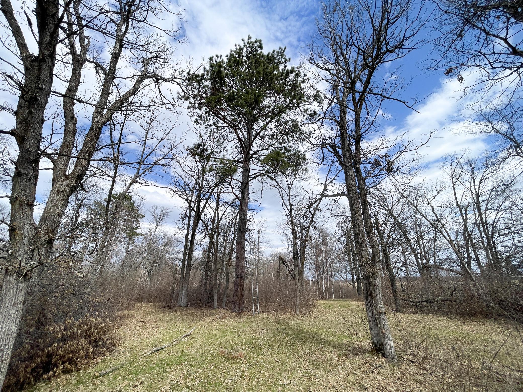 Tbd Boot Lake Road Southwest Bemidji, MN 56601 - Photo 28 of 43