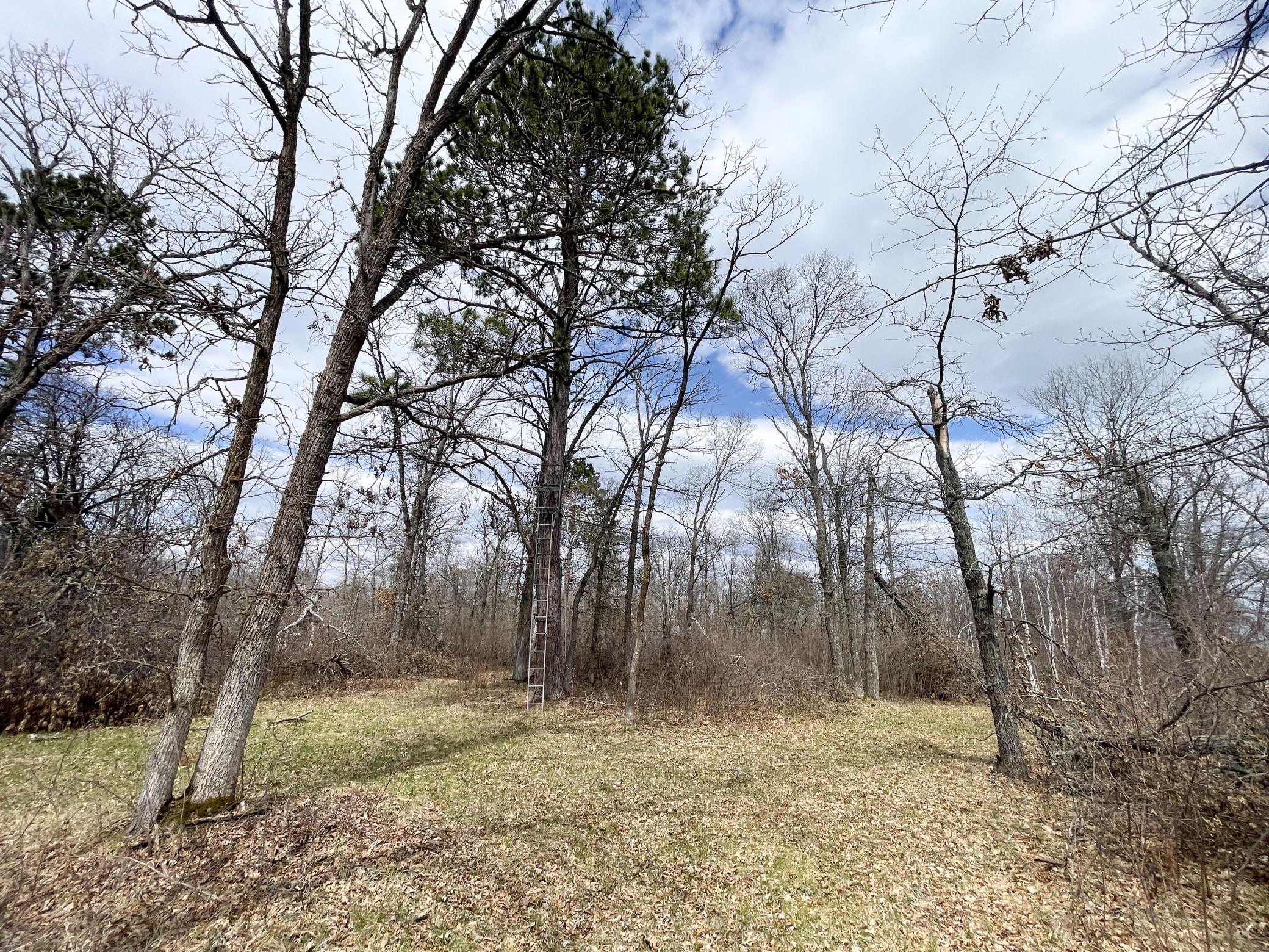 Tbd Boot Lake Road Southwest Bemidji, MN 56601 - Photo 29 of 43