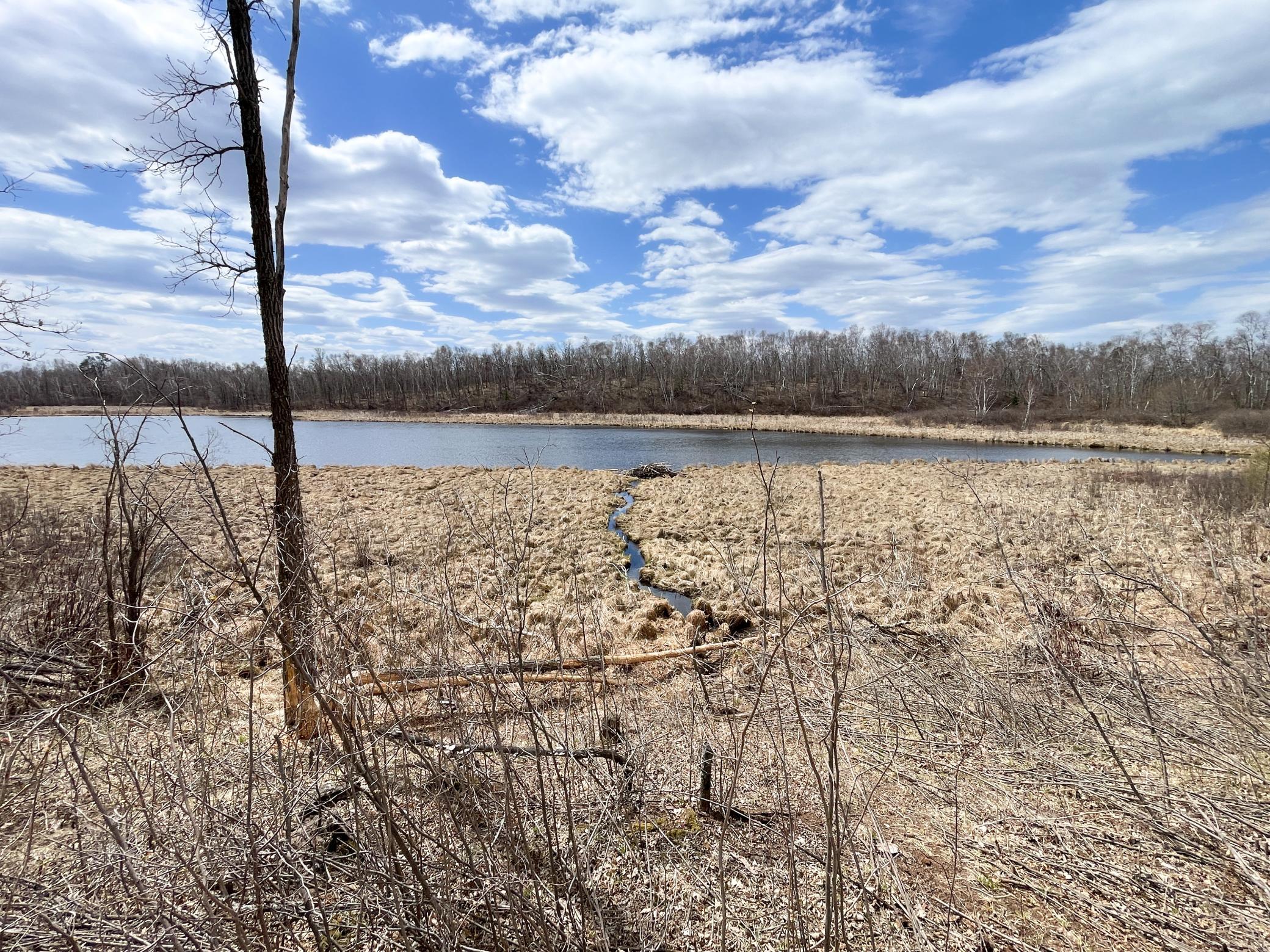 Tbd Boot Lake Road Southwest Bemidji, MN 56601 - Photo 33 of 43