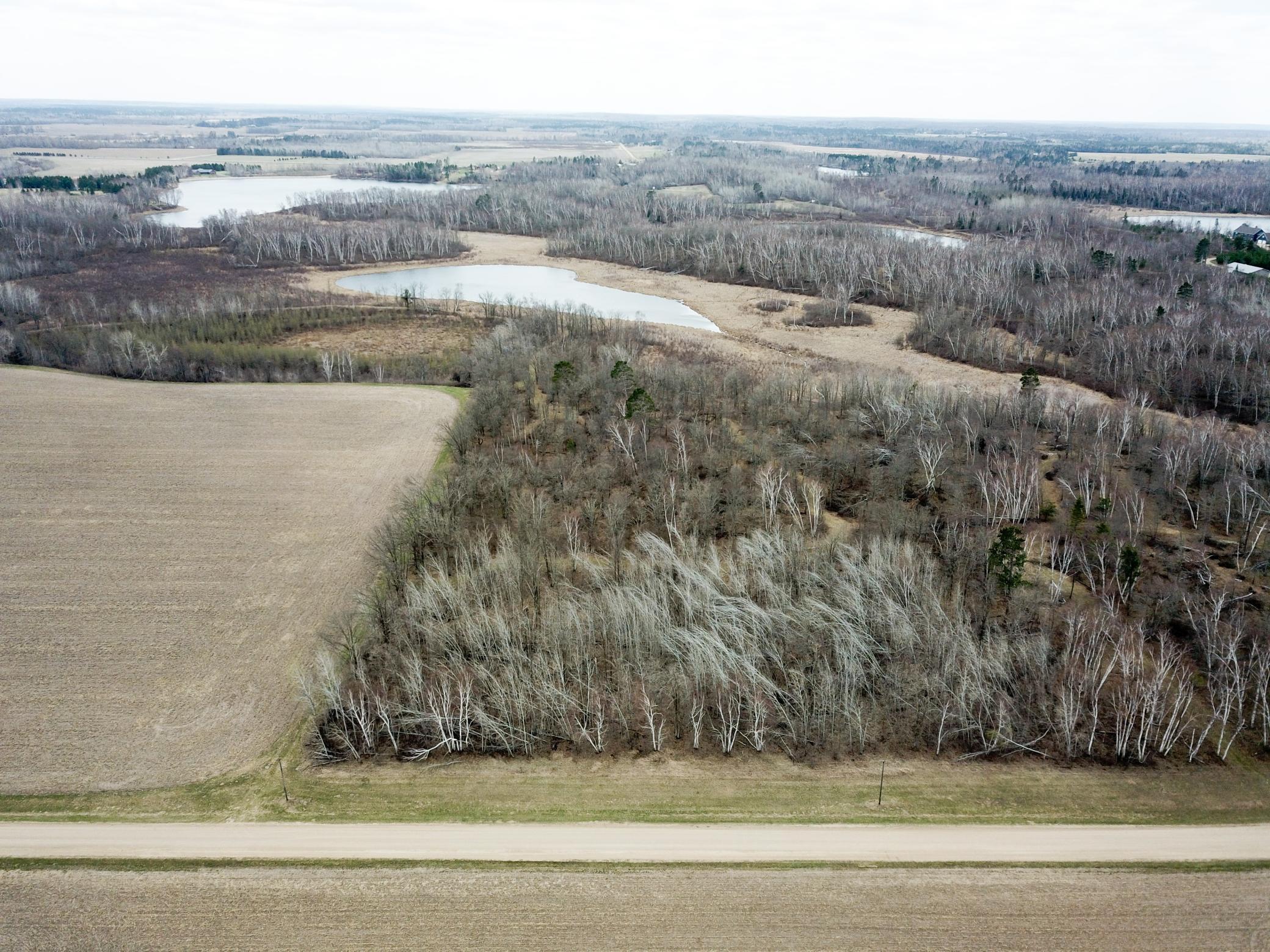 Tbd Boot Lake Road Southwest Bemidji, MN 56601 - Photo 4 of 43