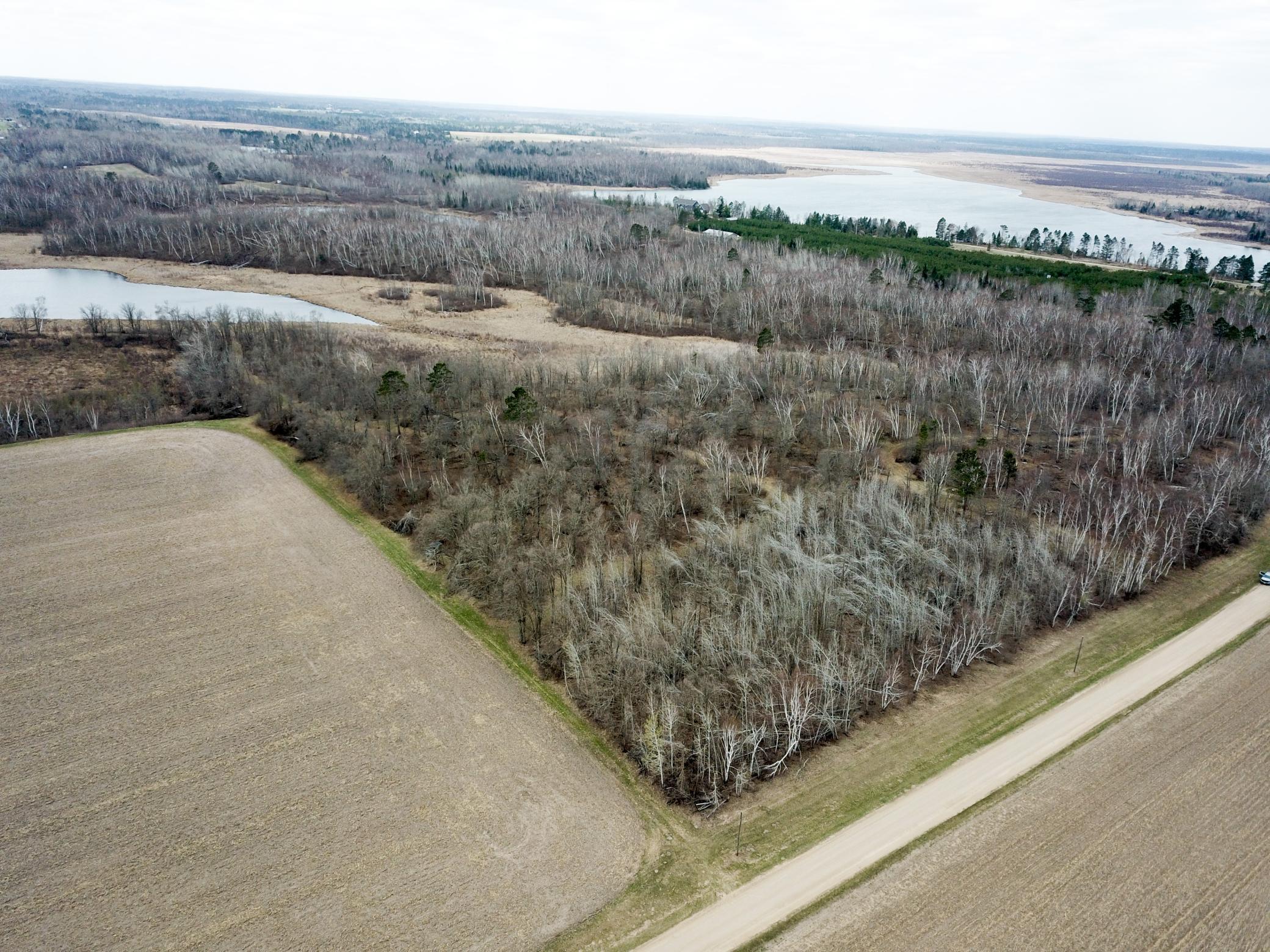Tbd Boot Lake Road Southwest Bemidji, MN 56601 - Photo 9 of 43