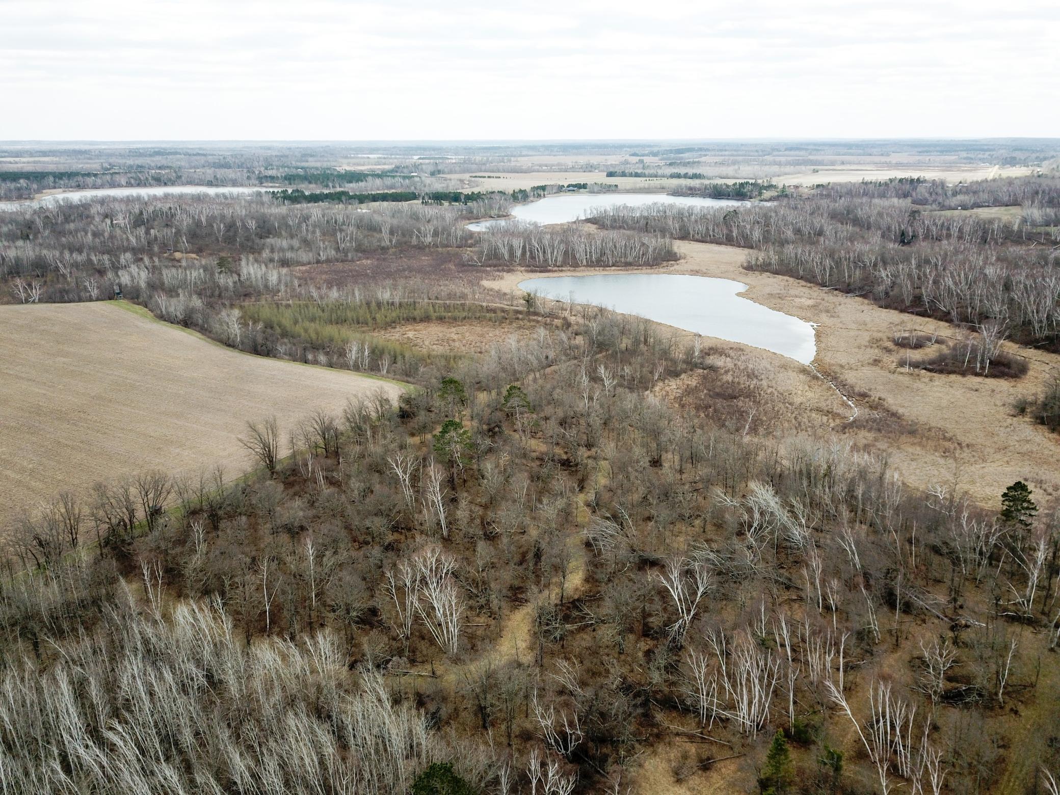Tbd Boot Lake Road Southwest Bemidji, MN 56601 - Photo 10 of 43