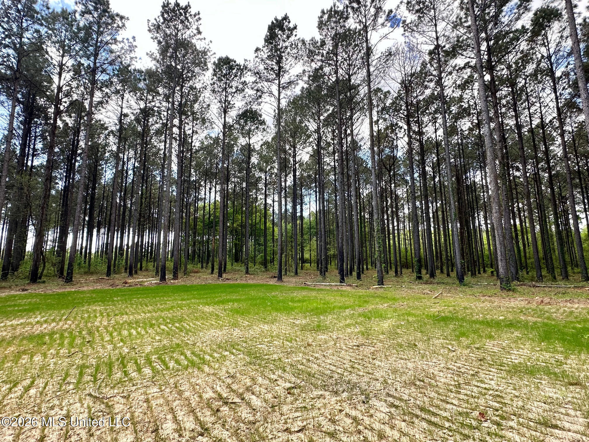 2 Morgan Road Canton, MS 39046 - Photo 8 of 19 8