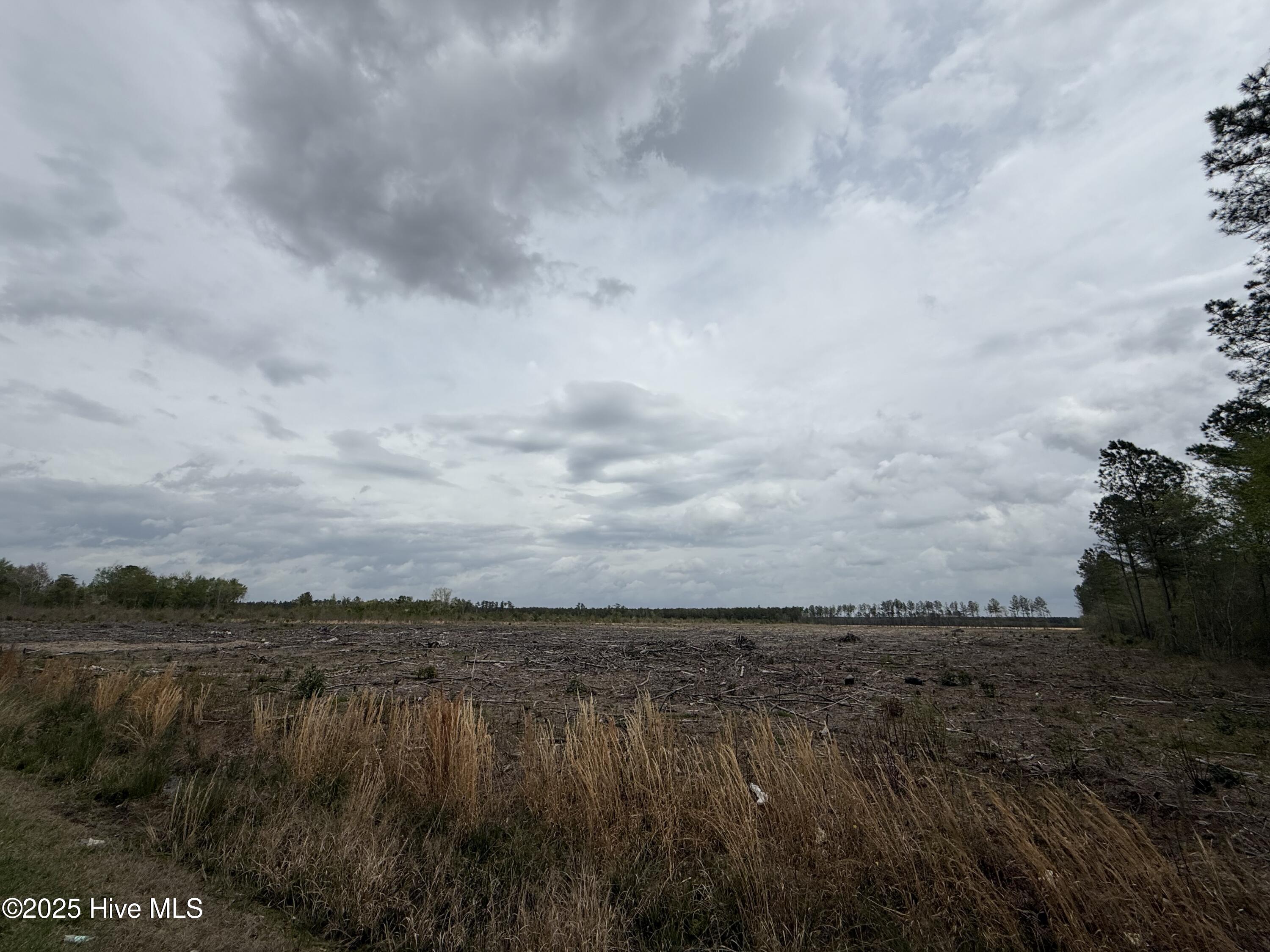 0 Roosevelt Spain Road Greenville, NC 27834 - Photo 2 of 2 Main Image