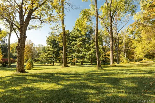 a view of a big yard with trees