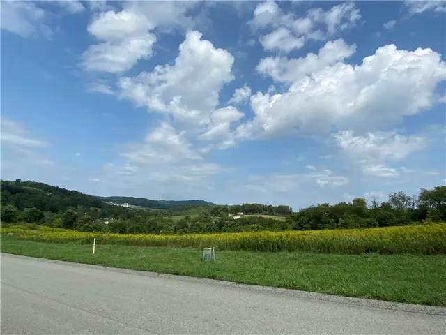 a view of a grassy field with mountains in the background