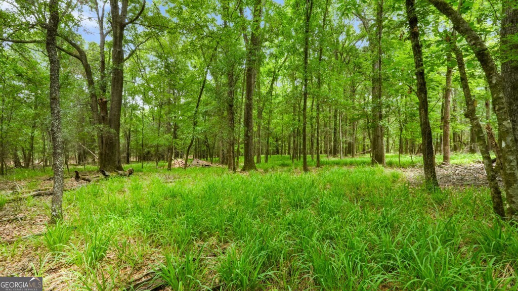 0 River Road Waynesboro, GA 30830 - Photo 12 of 37