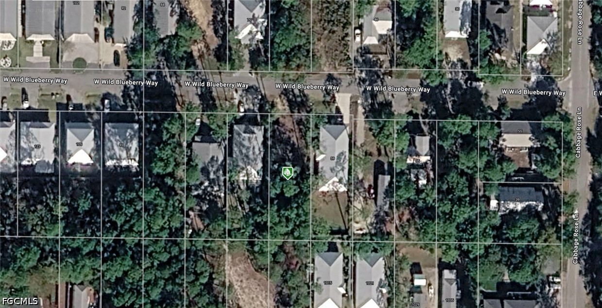 West Wild Blueberry Way Santa Rosa Beach, FL 32459 - Photo 1 of 2 Gallery Image 1