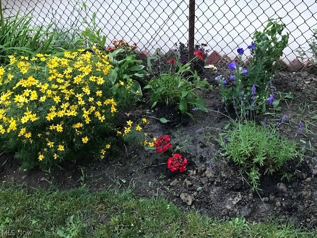 1157 Winston Road Cleveland, OH 44121 - Photo 14 of 14 Perennial gardens