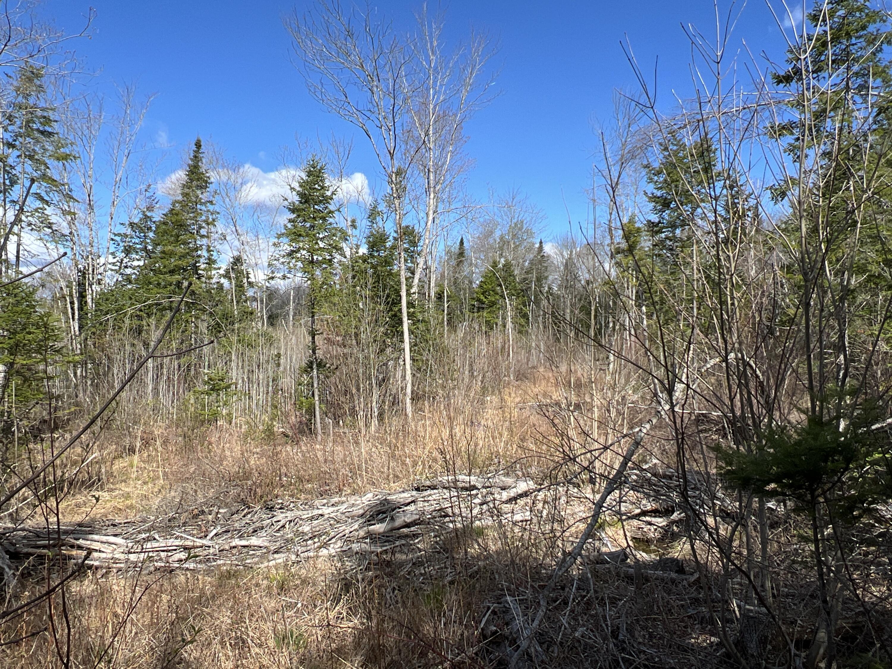 Lot 22 Schoodic Point Road Medford, ME 04463 - Photo 20 of 27 IMG_4185