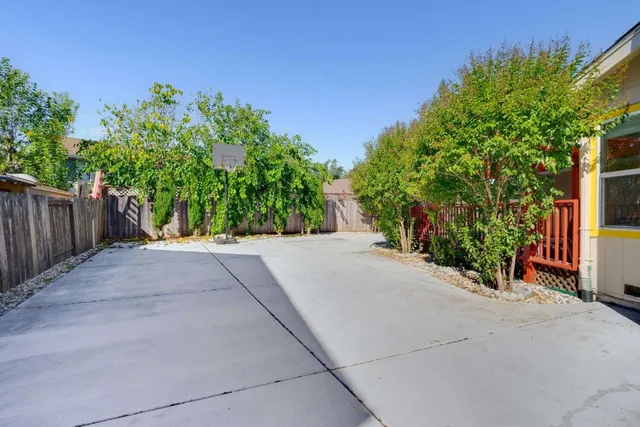 a view of a garden with potted plants