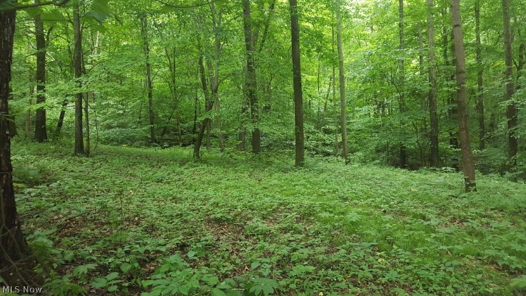 5846 Holmes Church Road Northeast New Philadelphia, OH 44663 - Photo 6 of 34