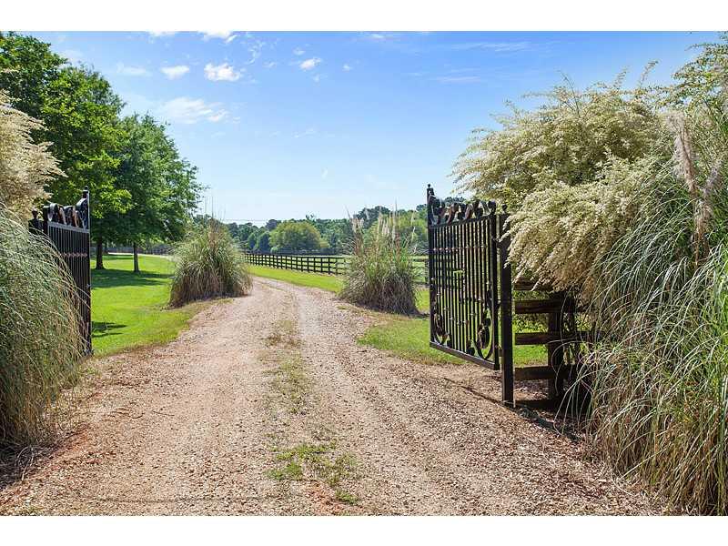 82062 Anthony Road Folsom, LA 70437 - Photo 12 of 13 Gallery Image 12