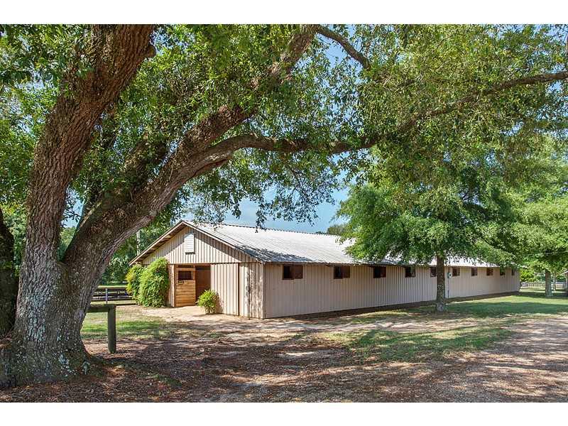 82062 Anthony Road Folsom, LA 70437 - Photo 10 of 13 Gallery Image 10