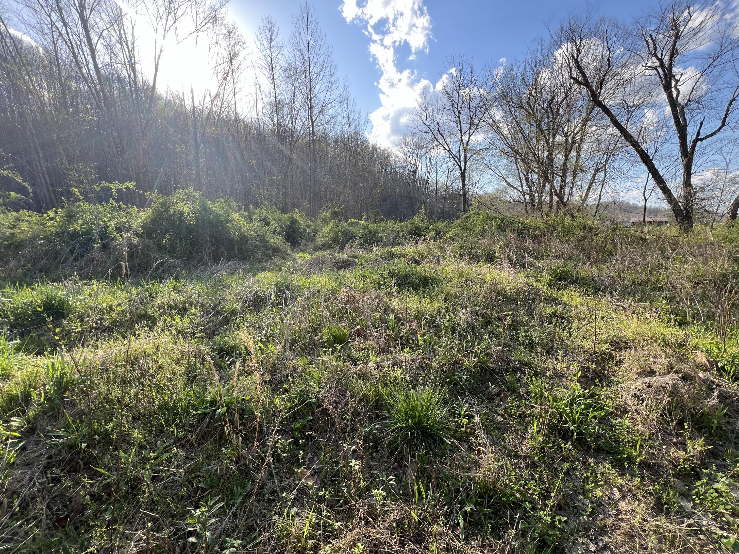 2000 Tbd Stamper Branch Campton, KY 41301 - Photo 2 of 47 Photo Apr 15, 6 06 32 PM