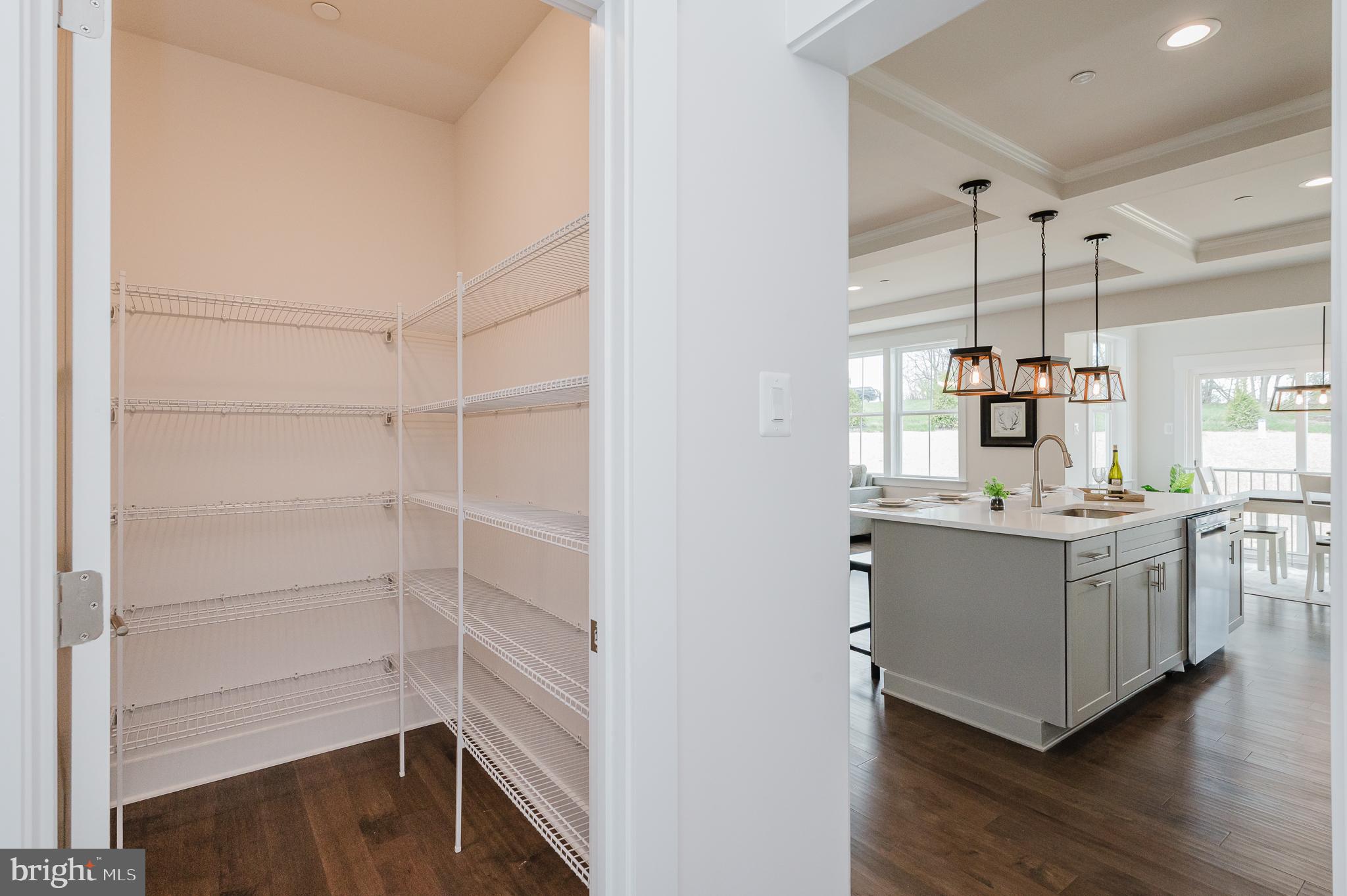 5725 Hodges Road Sykesville, MD 21784 - Photo 26 of 56 Walk-in Pantry