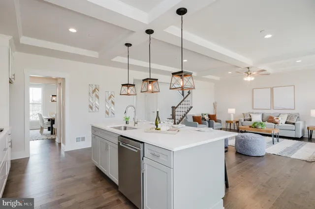 a living room with furniture or couch and a potted plant