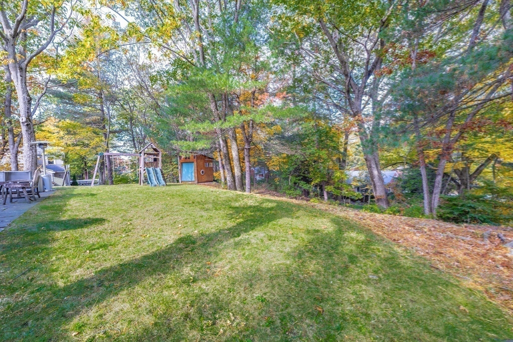 134 Rangeley Road Brookline, MA 02467 - Photo 25 of 27 a view of a yard with plants and trees