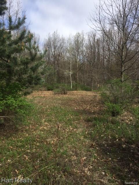 0 South Reese Road Frankenmuth, MI 48734 - Photo 12 of 15