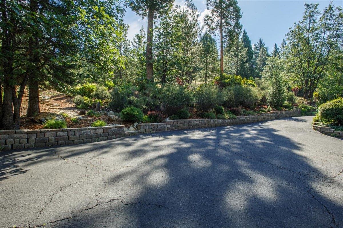 566 Main Ranch Road Quincy, CA 95971 - Photo 5 of 47