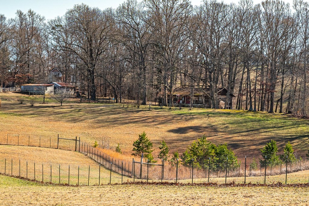 705 Wine Road Dandridge, TN 37725 - Photo 30 of 31 Gallery Image 30