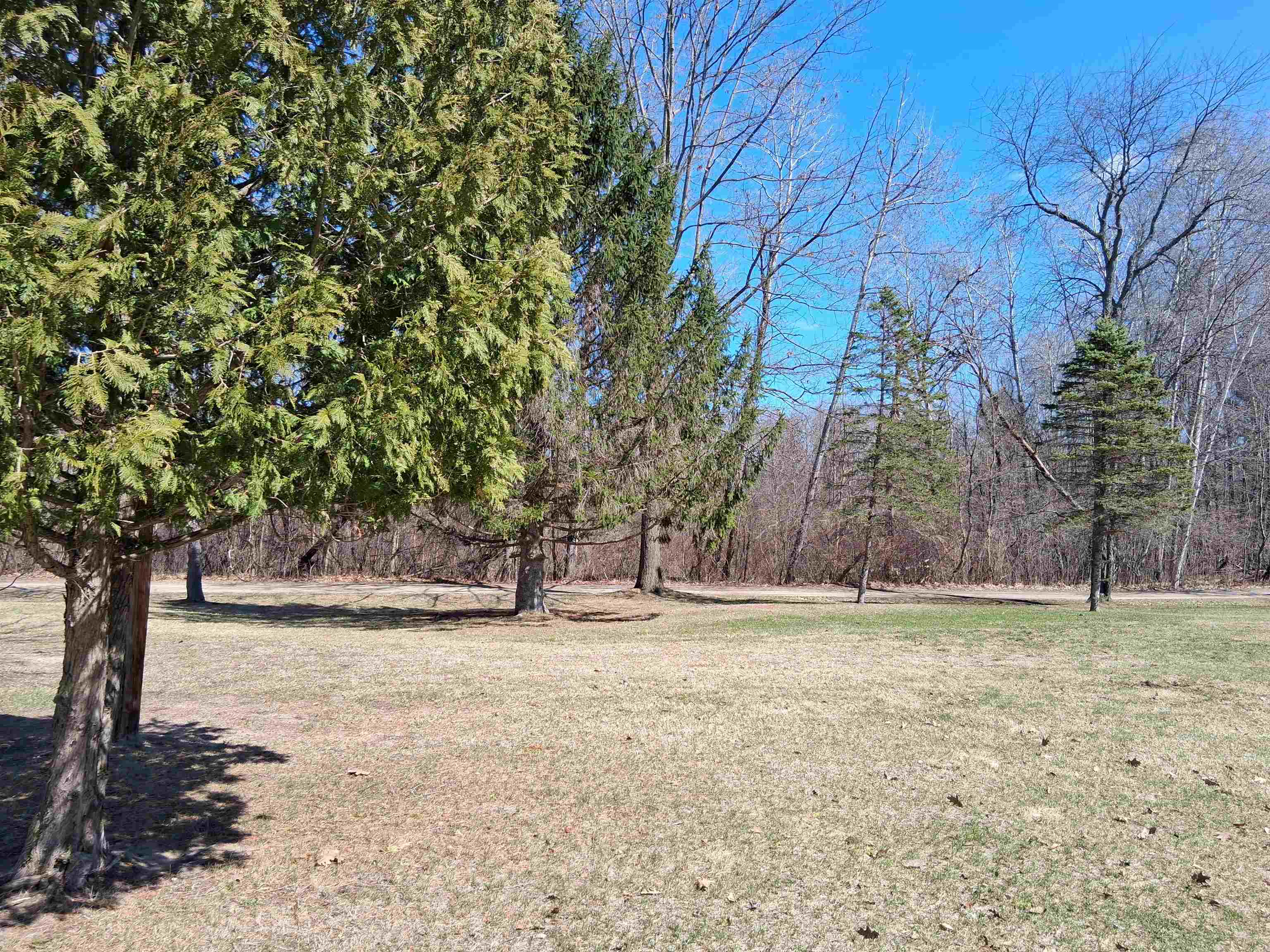 3739 Pratt Lake Road Gladwin, MI 48624 - Photo 12 of 51