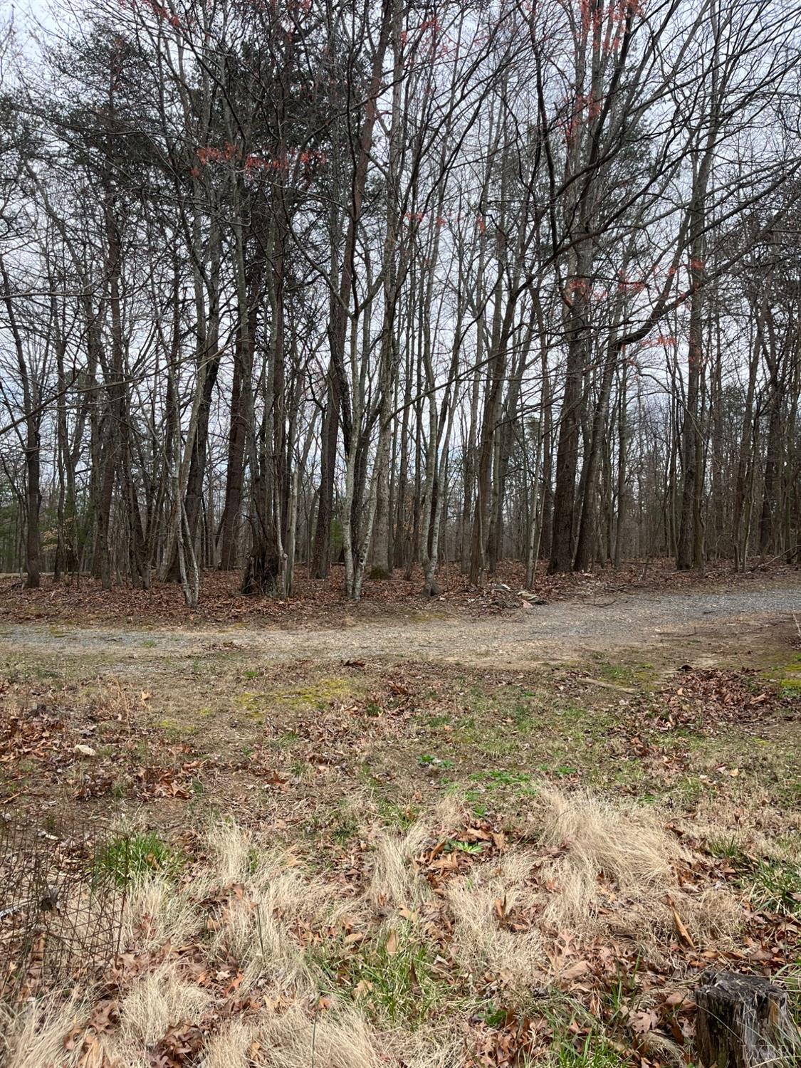 683 Candlers Mountain Road Rustburg, VA 24588 - Photo 7 of 8 Gallery Image 7
