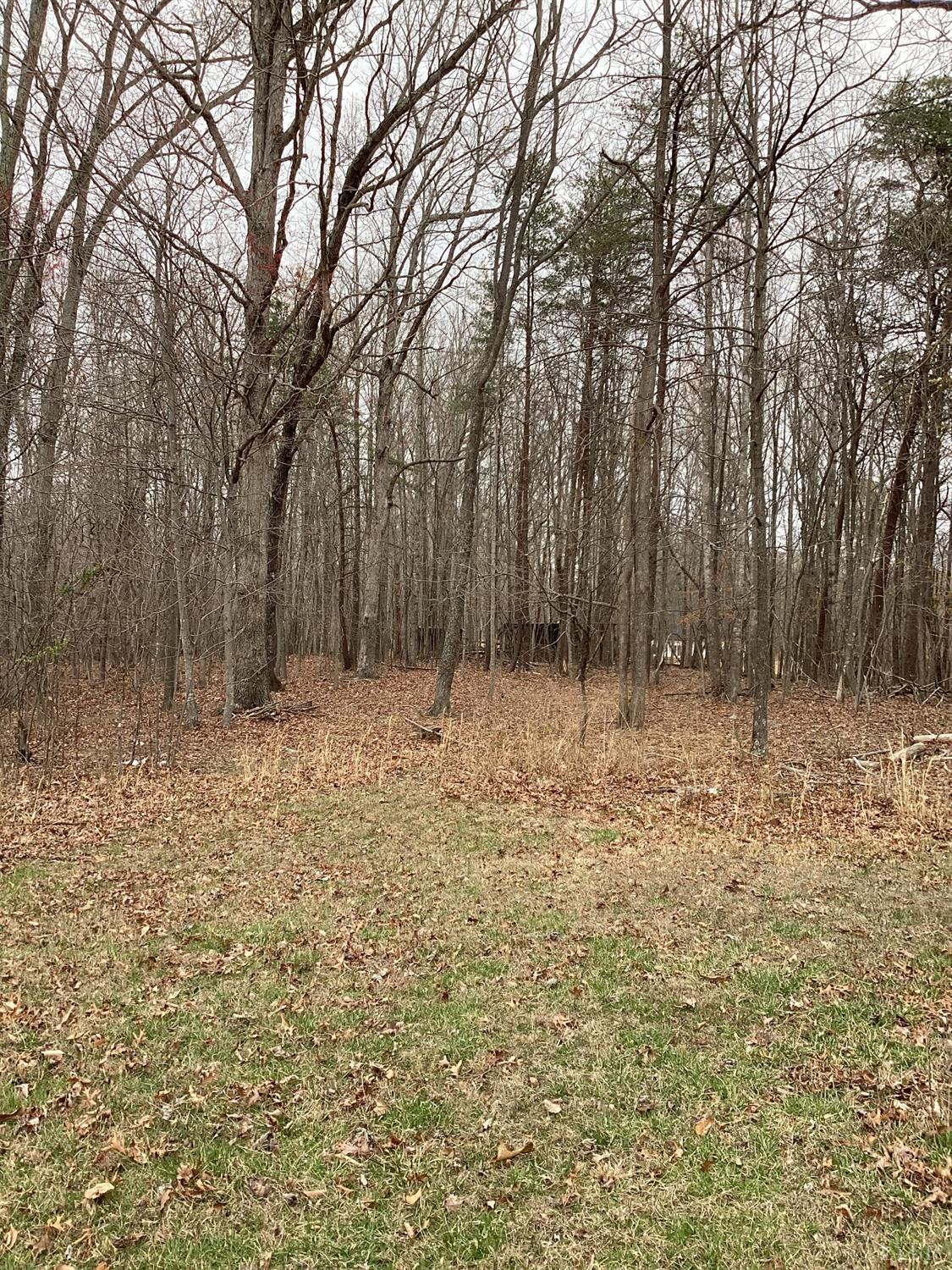 683 Candlers Mountain Road Rustburg, VA 24588 - Photo 8 of 8 Gallery Image 8
