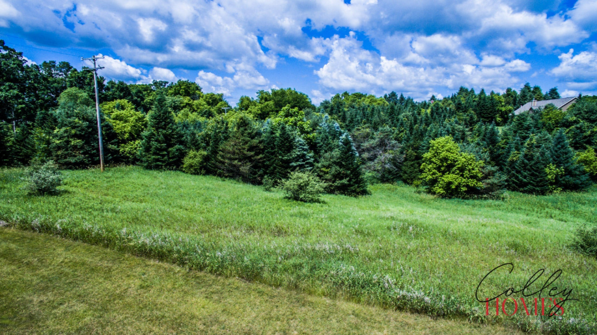 Autumn Ridge Drive, Unit 5 Middleville, MI 49333 - Photo 10 of 14 autumn.ridge-38