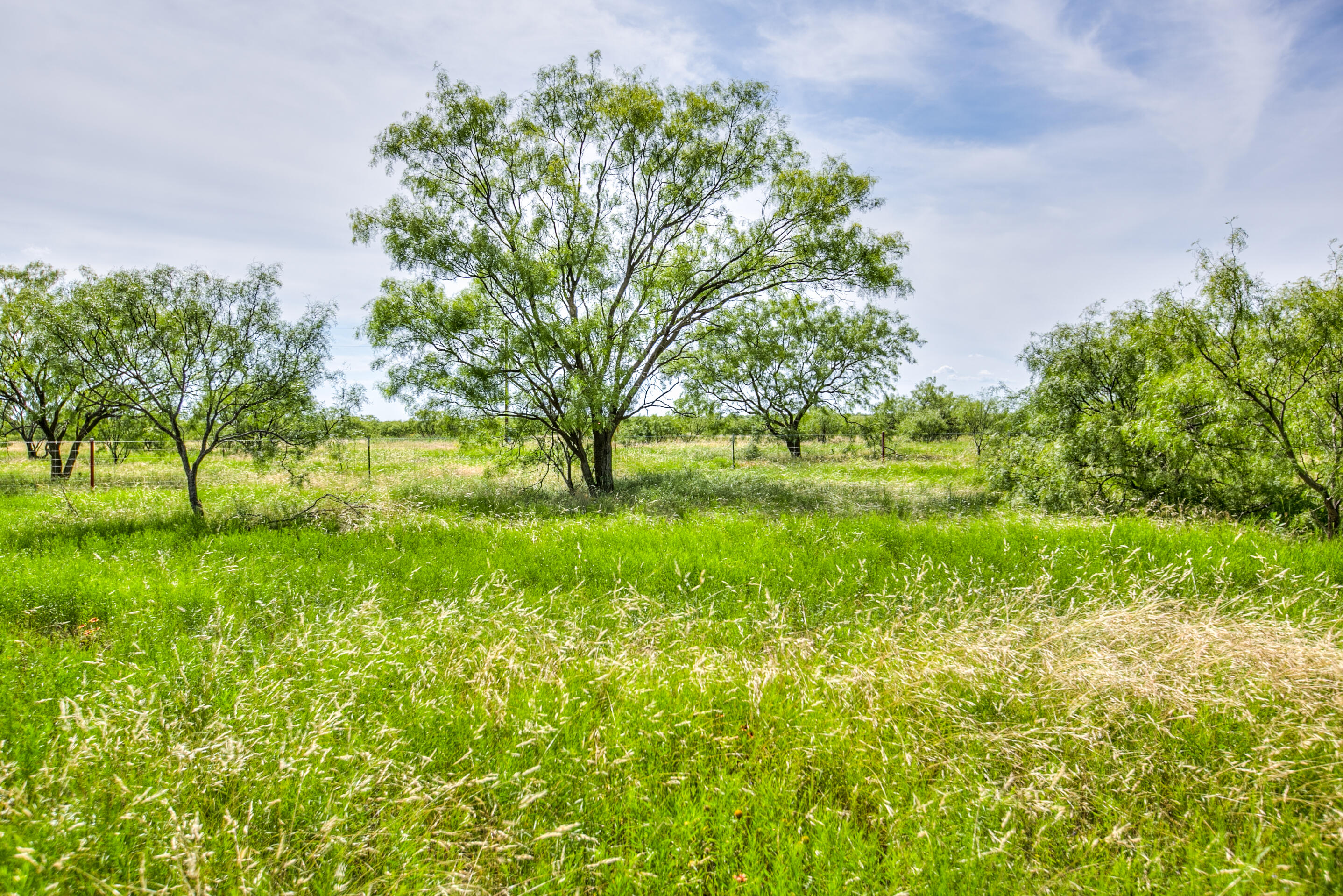 0 County Road 130 Road Talpa, TX 76882 - Photo 25 of 28 6L4A9879_80_81_82_83