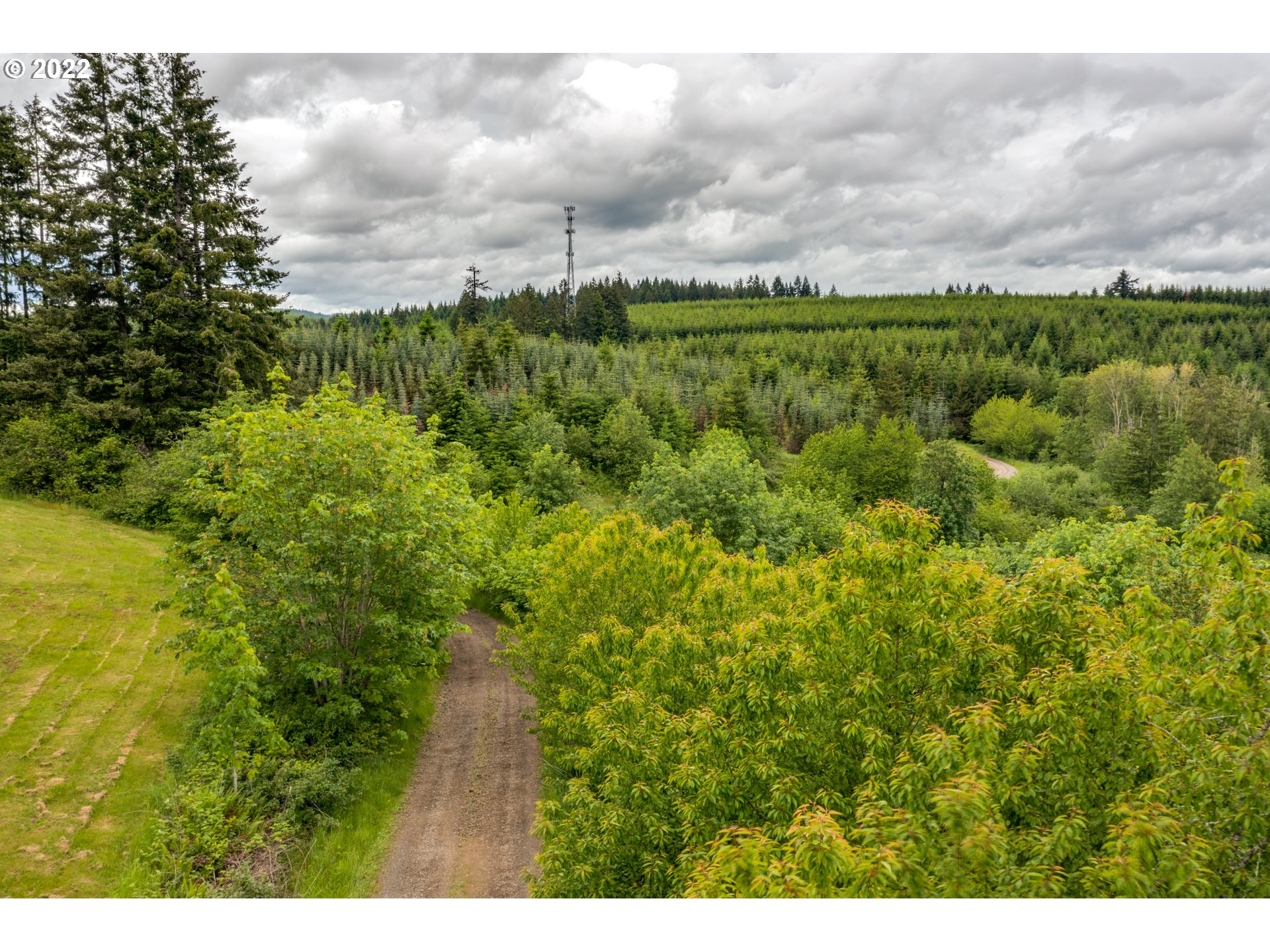 41100 Northwest Lodge Road Banks, OR 97106 - Photo 11 of 30 Gallery Image 11
