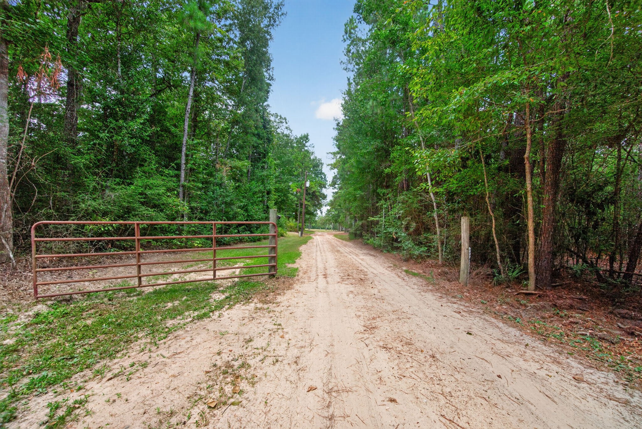 272 Tom Marsh Road Livingston, TX 77351 - Photo 25 of 50 Driveway Coming Off Tom Marsh Rd.