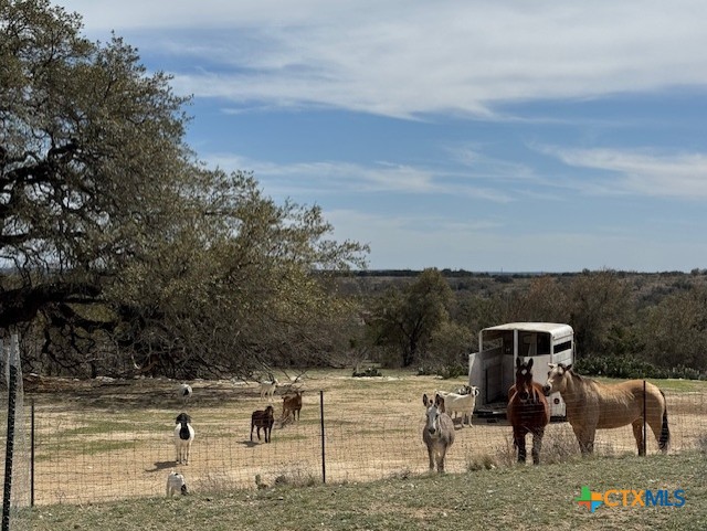 880 County Road 3100 Kempner, TX 76539 - Photo 19 of 33 a view of a yard in front of the house