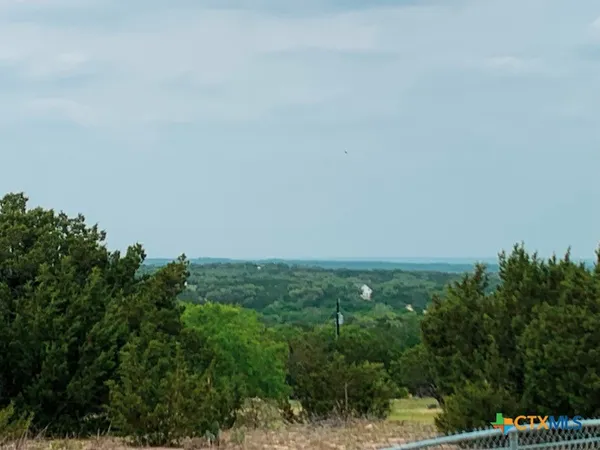 a view of a field of grass and trees