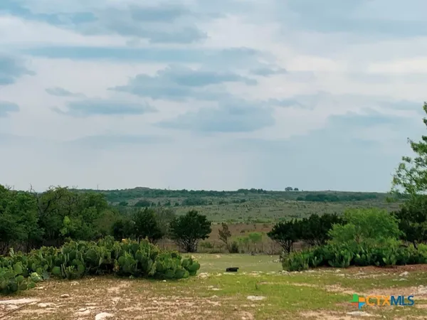 an aerial view of a houses covered in trees